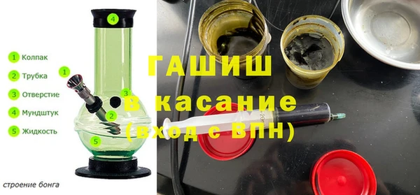 прущие грибы Аркадак