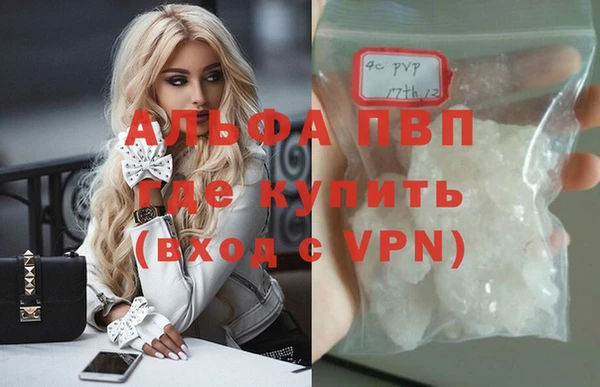 прущие грибы Аркадак
