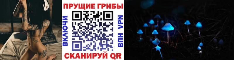 Галлюциногенные грибы мухоморы  blacksprut вход  Междуреченск 